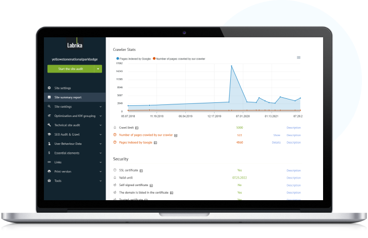 Narzędzia SEO prowadzone przez AI Labrika